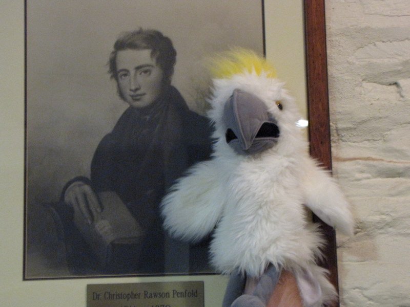 Dr Christopher Rawson Penfolds and Jancis the Sulphur Crested Cockatoo